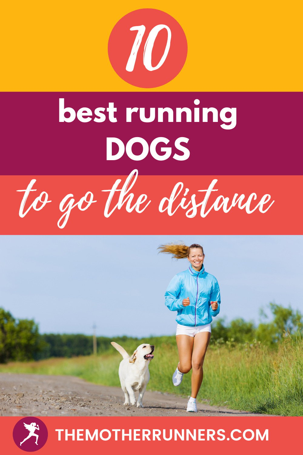 Top 10 Best Running Dog Breeds - The Mother Runners