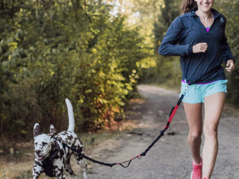 woman running with a spotted dog with a hands free dog leash on a trail in the fall.